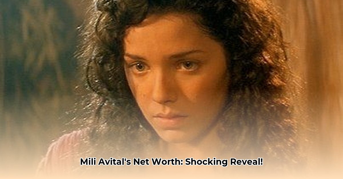 mili-avital-net-worth